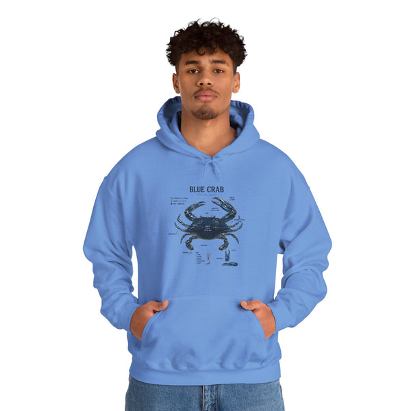 Blue Crab Anatomy Hoodie — Nautical Marine Biology Graphic Sweatshirt