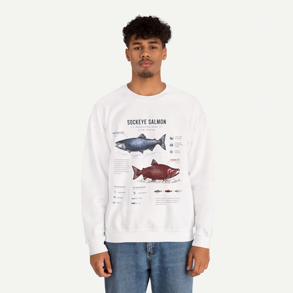 Sockeye Salmon Anatomy Sweatshirt — Fish Anatomy Graphic Crewneck