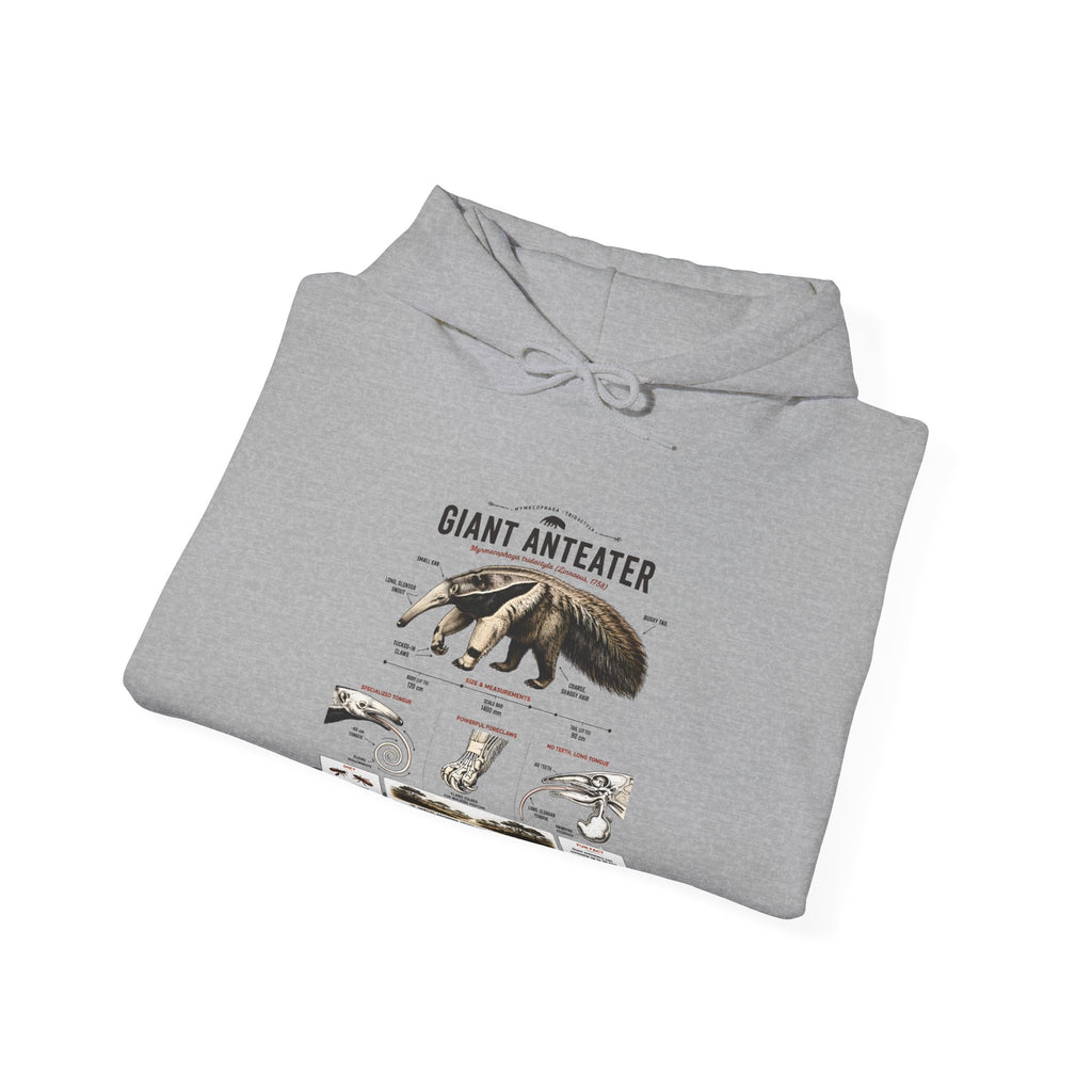 Giant Anteater Anatomy Hoodie — Illustrated Wildlife Diagram Sweatshirt