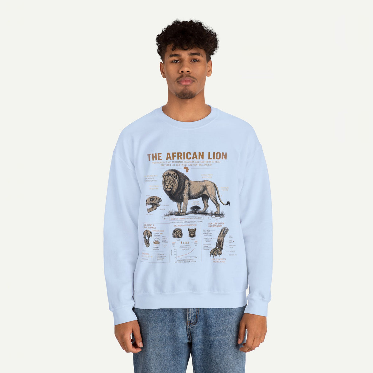 African Lion Anatomy Crewneck Sweatshirt