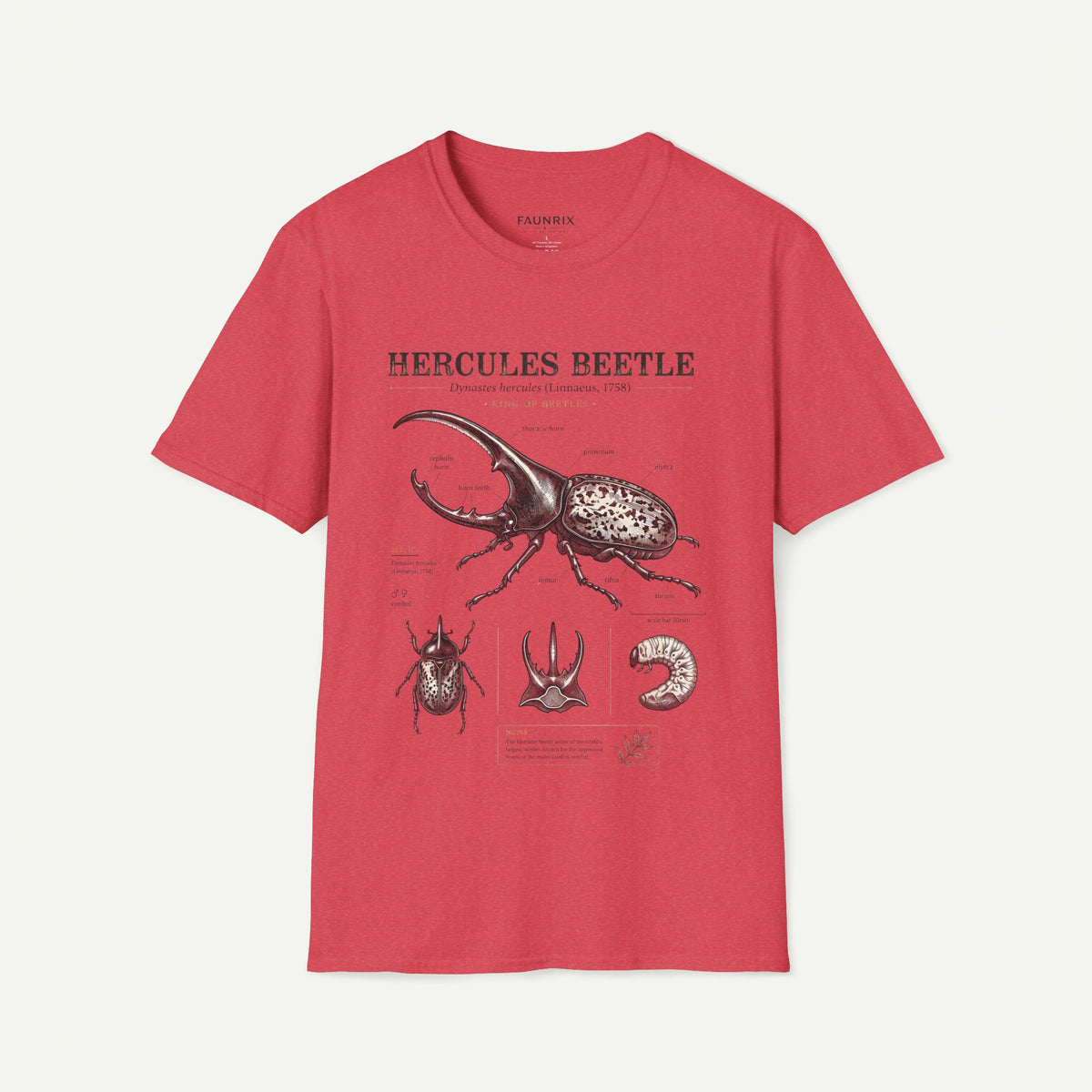 Hercules Beetle Anatomy T-Shirt — Vintage Entomology Graphic Tee