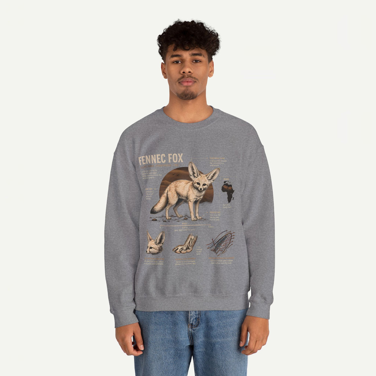 Fennec Fox Anatomy Sweatshirt – Wildlife Anatomy Crewneck