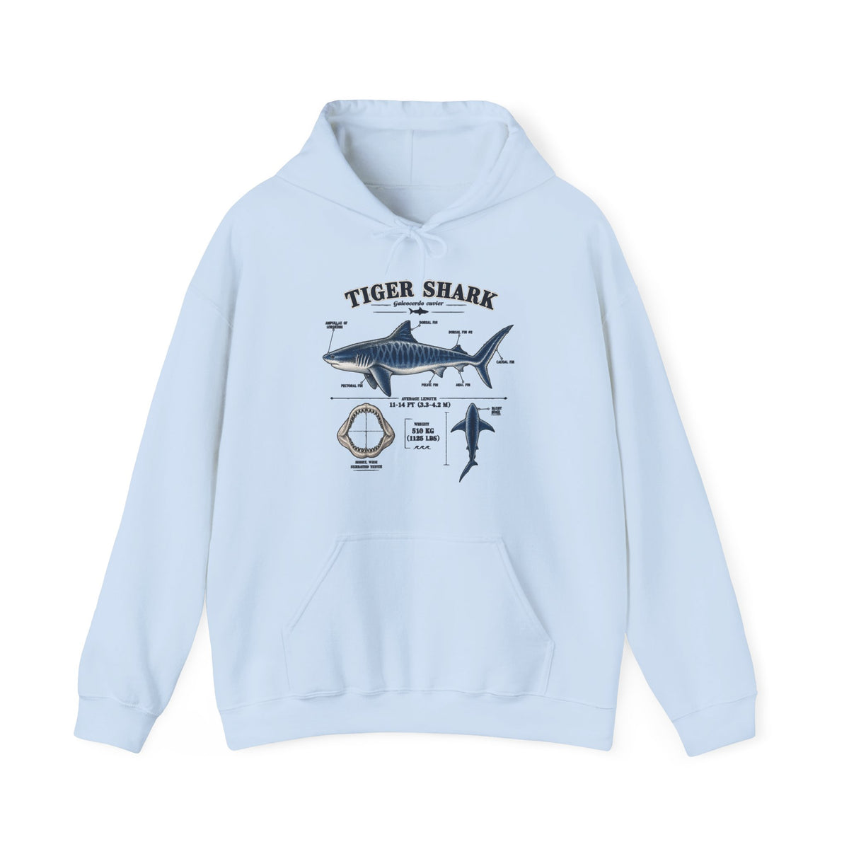 Tiger Shark Anatomy Hoodie — Nautical Science Graphic Pullover