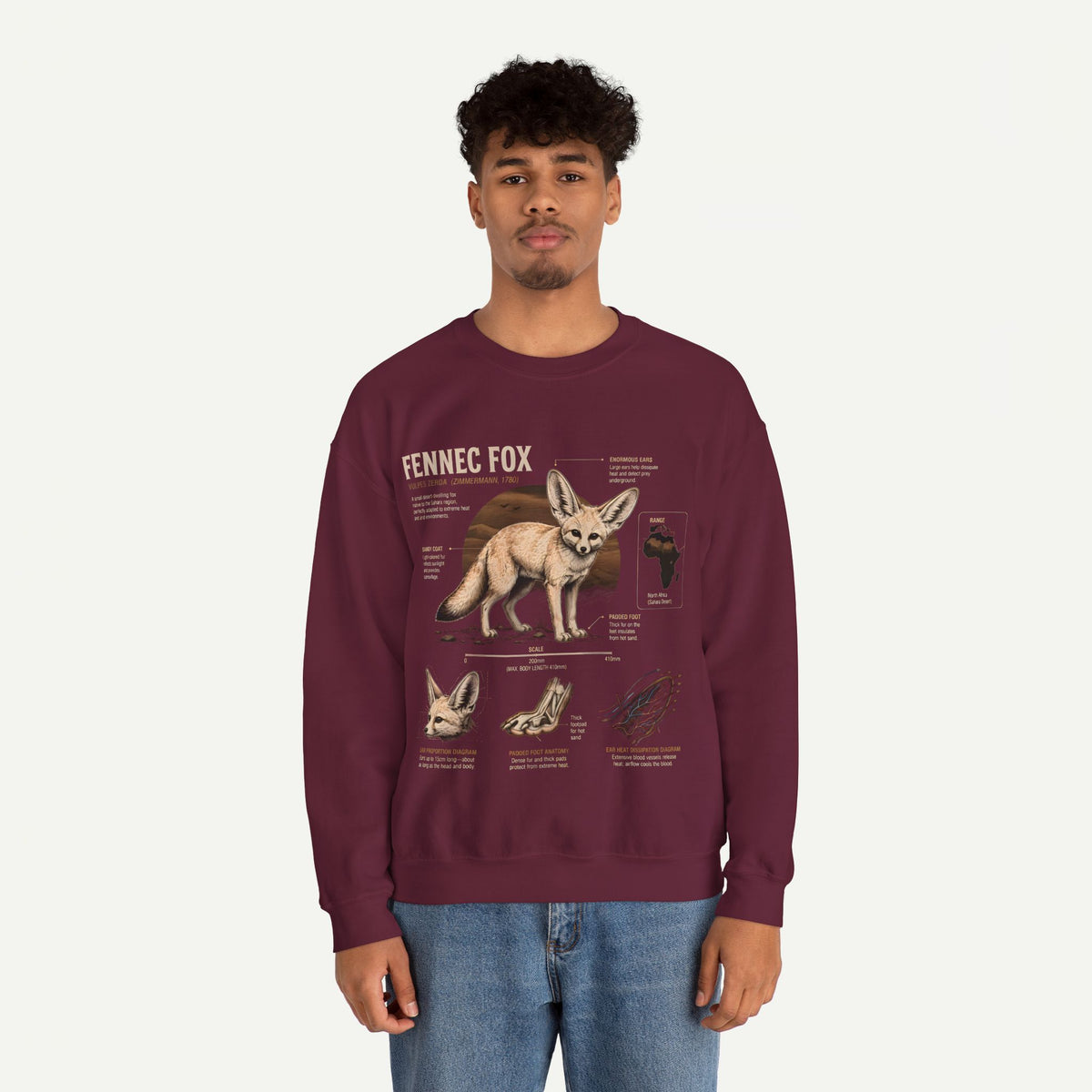 Fennec Fox Anatomy Sweatshirt – Wildlife Anatomy Crewneck