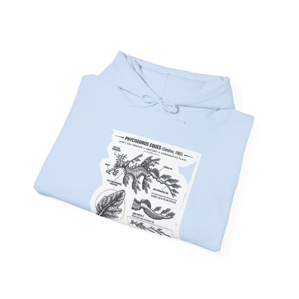 Botanical Anatomy Hoodie — Vintage Plant Diagram Sweatshirt