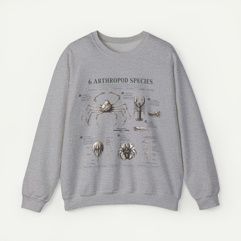 Arthropod Species Diagram Sweatshirt — Vintage Scientific Illustration Crewneck