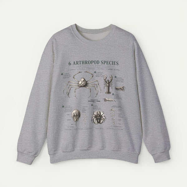 Arthropod Species Diagram Sweatshirt — Vintage Scientific Illustration Crewneck