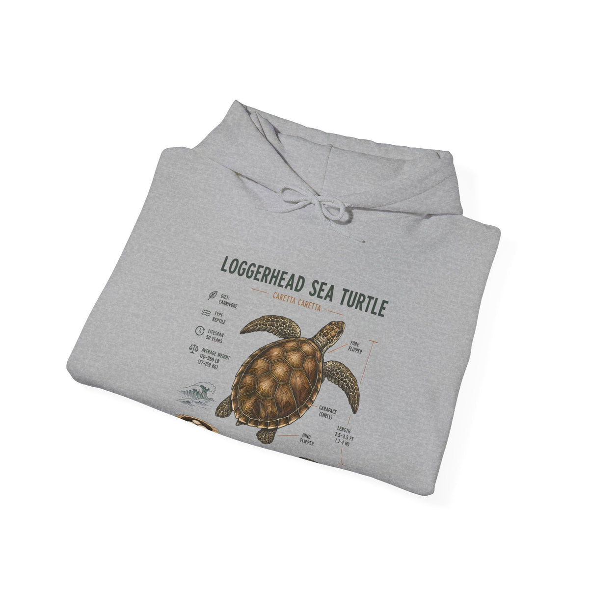 Loggerhead Sea Turtle Diagram Hoodie – Marine Biology Illustration Sweatshirt