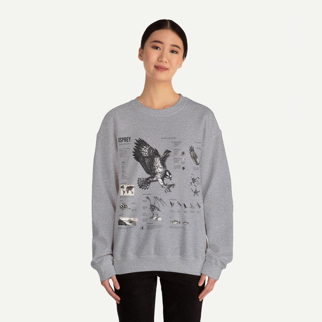 Osprey Anatomy Sweatshirt — Illustrated Bird Guide Pullover