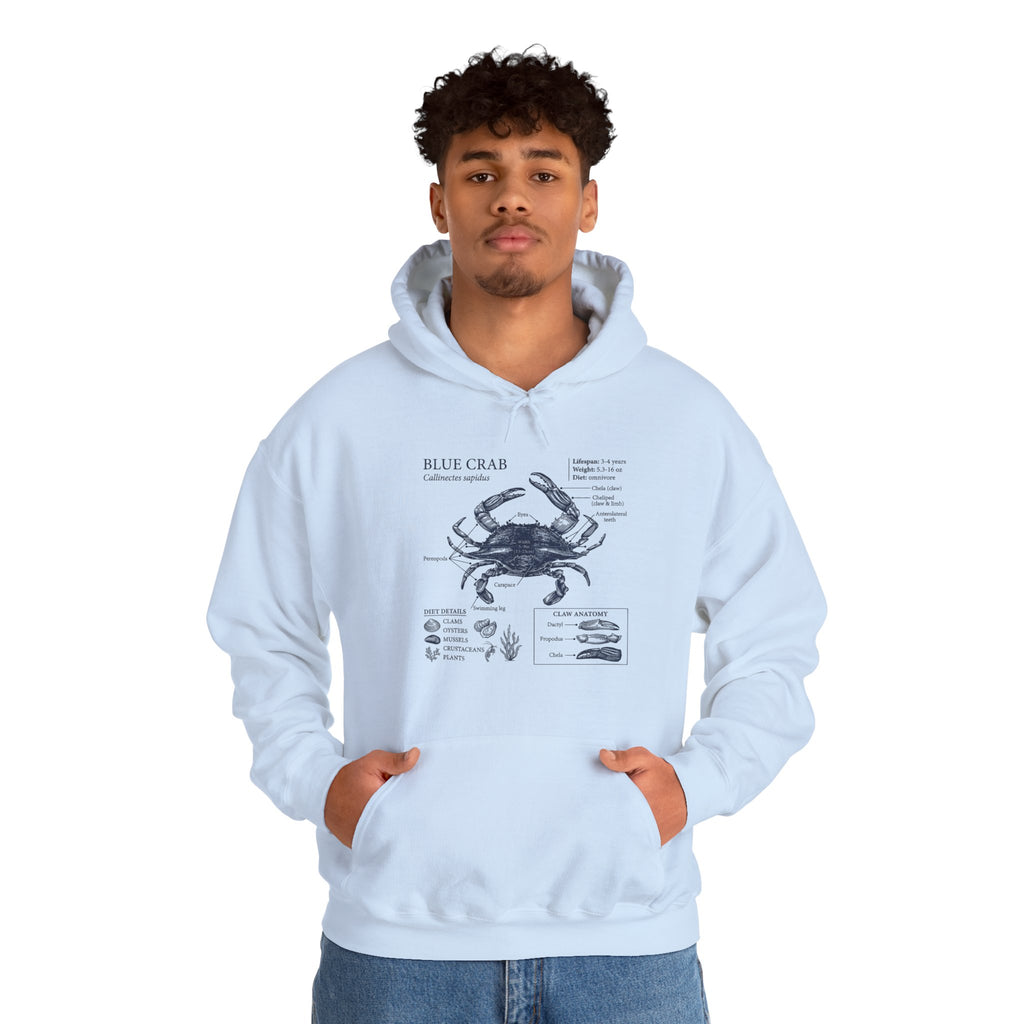 Blue Crab Anatomy Hoodie – Nautical Marine Biology Graphic Sweatshirt