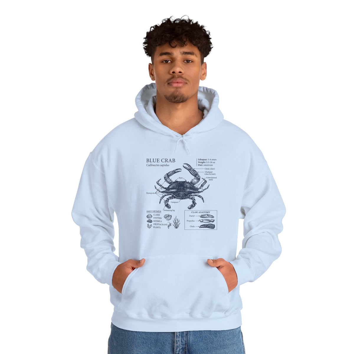 Blue Crab Anatomy Hoodie – Nautical Marine Biology Graphic Sweatshirt