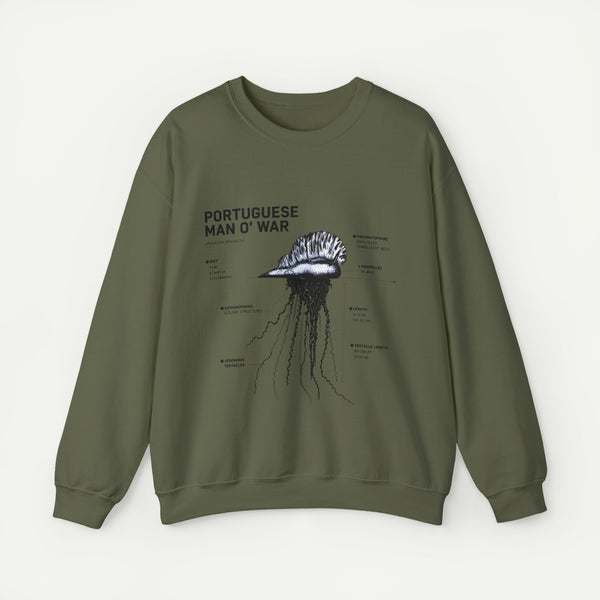 Portuguese Man O' War Anatomy Sweatshirt