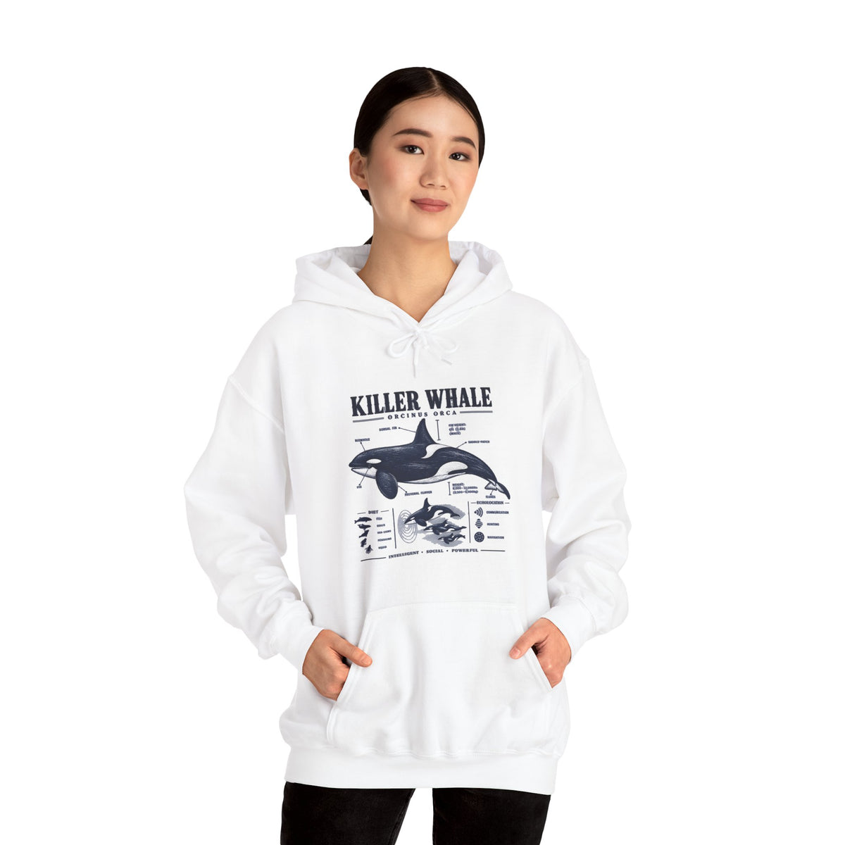 Killer Whale Anatomy Hoodie — Orca Scientific Diagram Sweatshirt