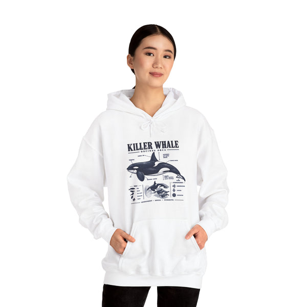 Killer Whale Anatomy Hoodie — Orca Scientific Diagram Sweatshirt