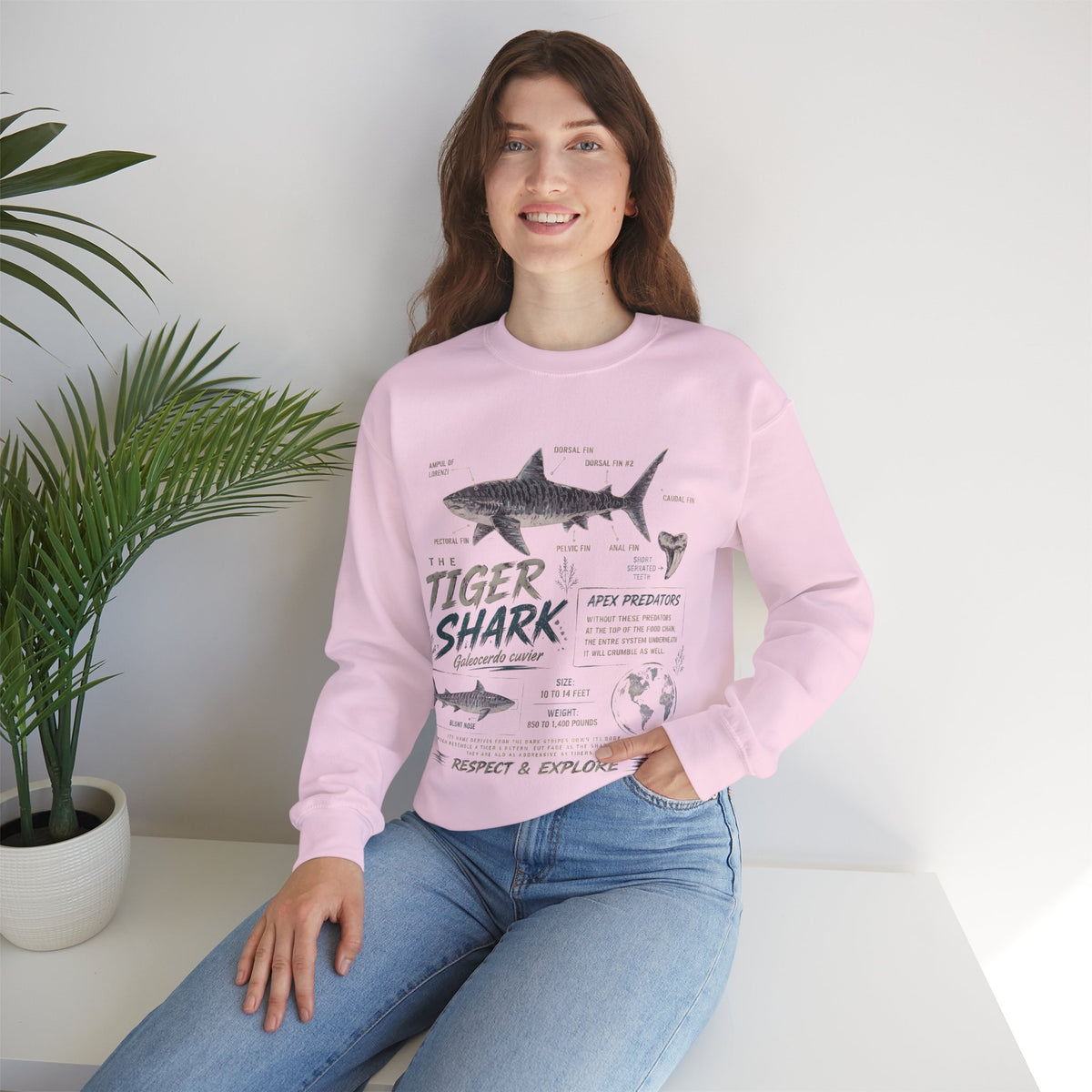 Tiger Shark Anatomy Sweatshirt — Marine Biology Graphic Crewneck