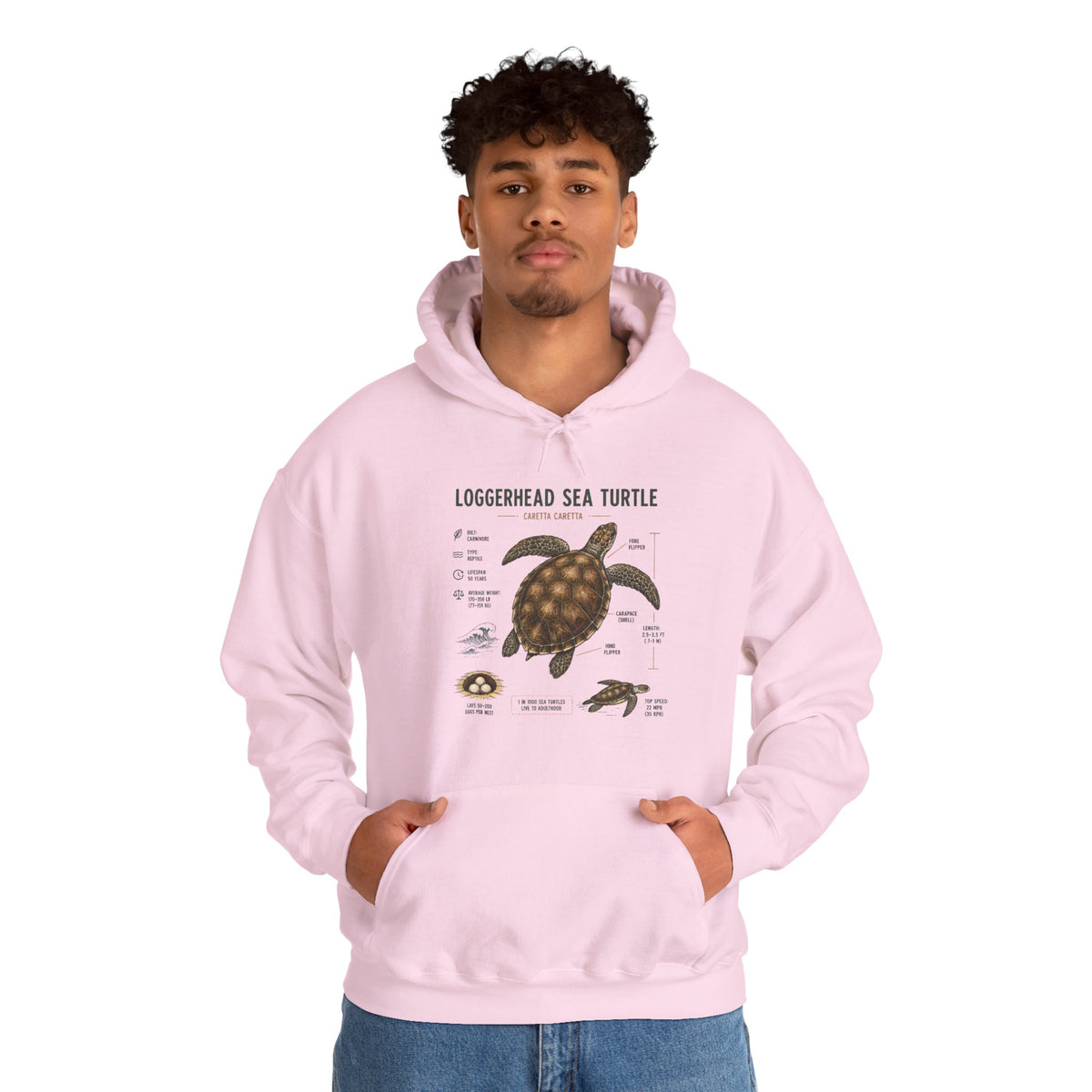 Loggerhead Sea Turtle Diagram Hoodie – Marine Biology Illustration Sweatshirt