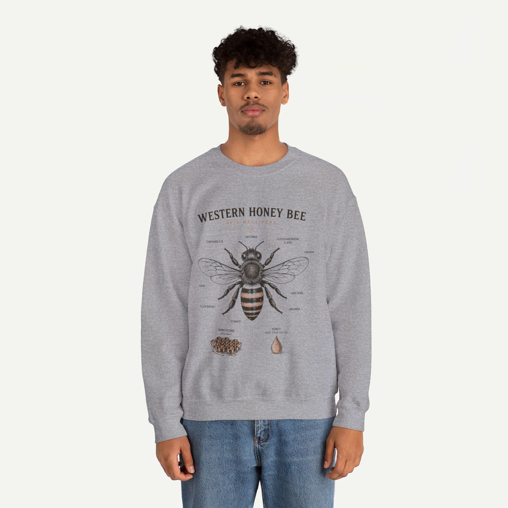 Western Honey Bee Sweatshirt — Vintage Bee Anatomy Graphic