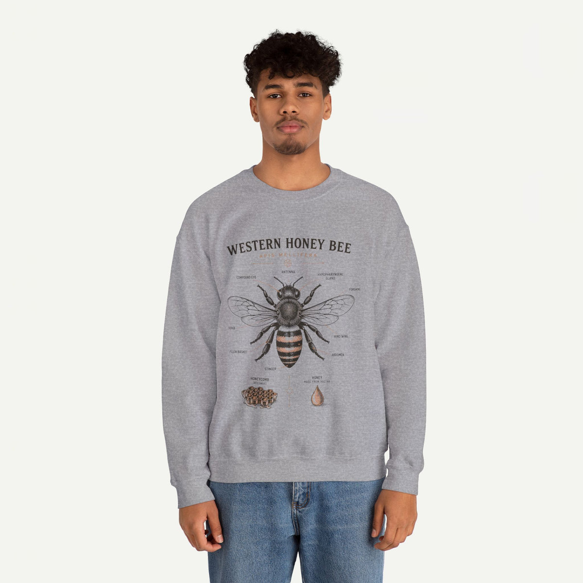 Western Honey Bee Sweatshirt — Vintage Bee Anatomy Graphic
