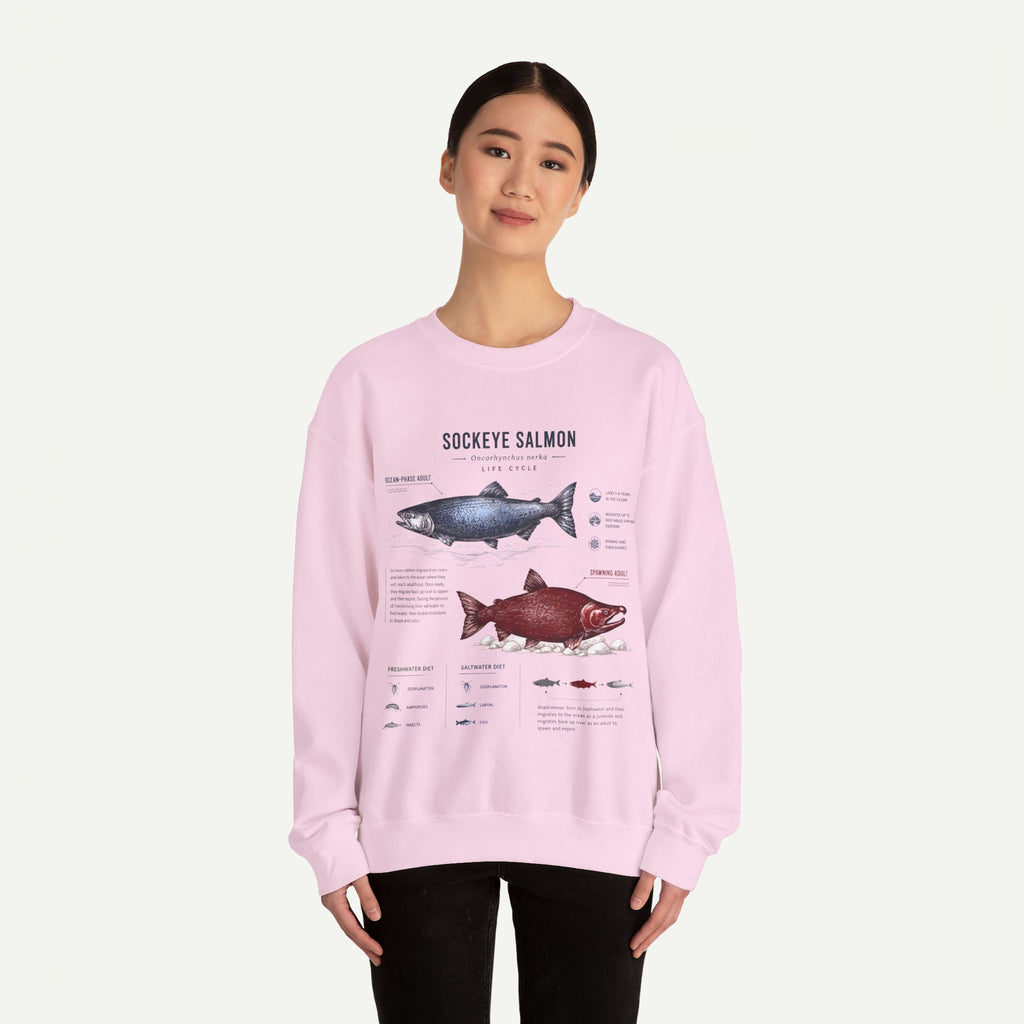 Sockeye Salmon Anatomy Sweatshirt — Fish Anatomy Graphic Crewneck