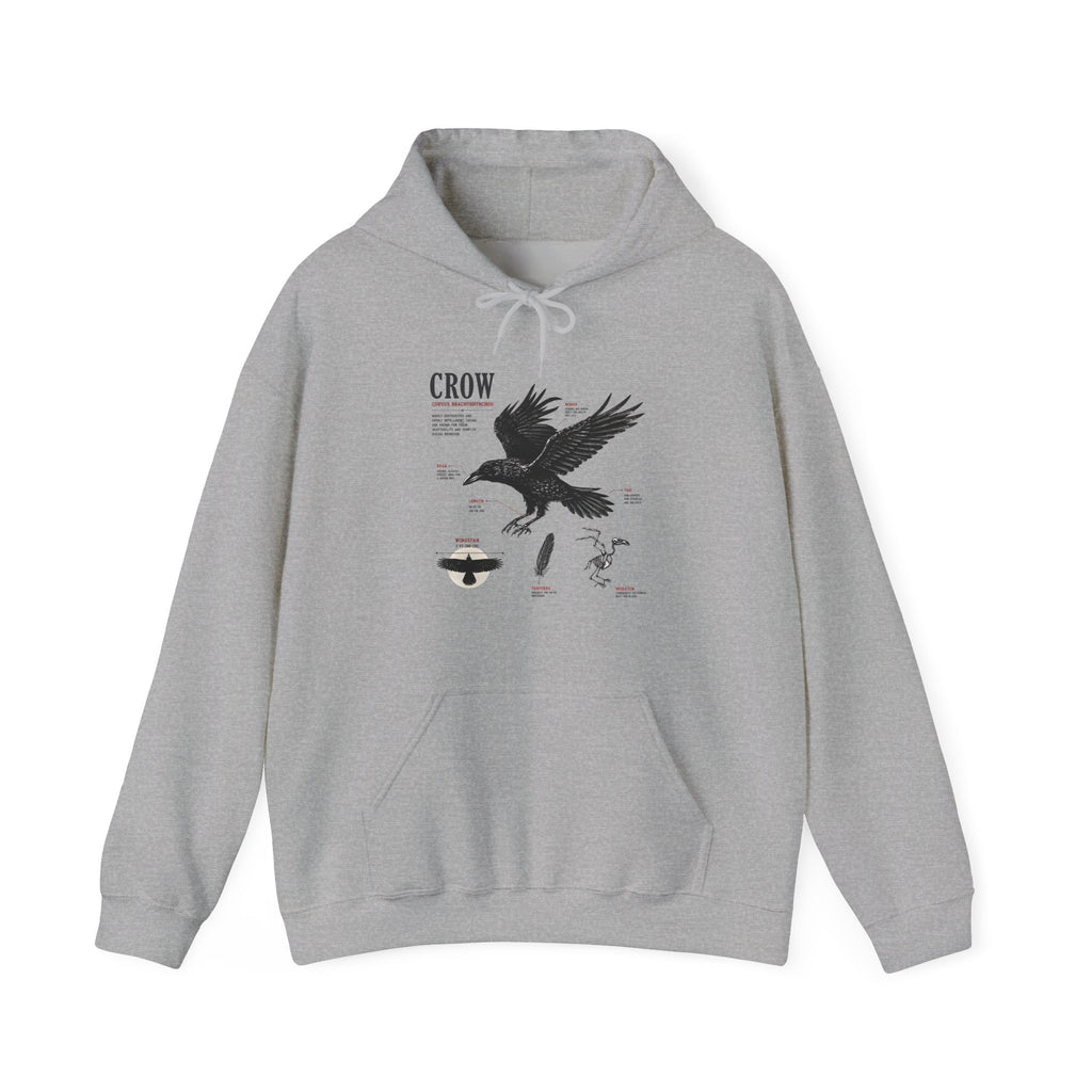Crow Anatomy Hoodie — Vintage Raven Diagram Hooded Sweatshirt