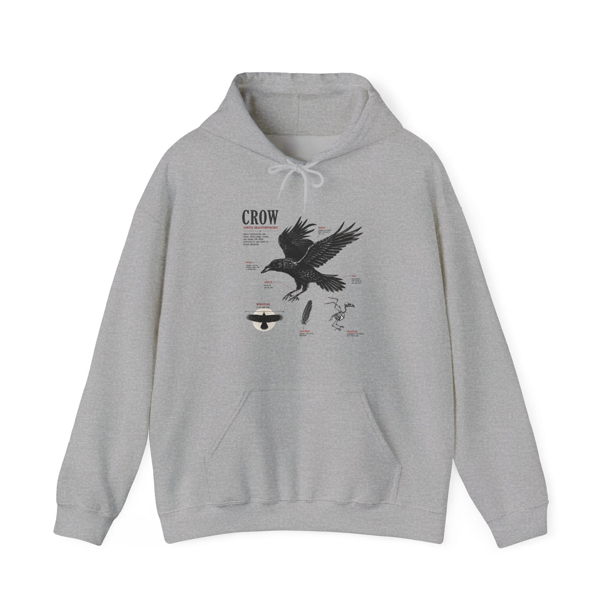 Crow Anatomy Hoodie — Vintage Raven Diagram Hooded Sweatshirt