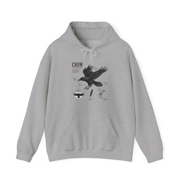 Crow Anatomy Hoodie — Vintage Raven Diagram Hooded Sweatshirt