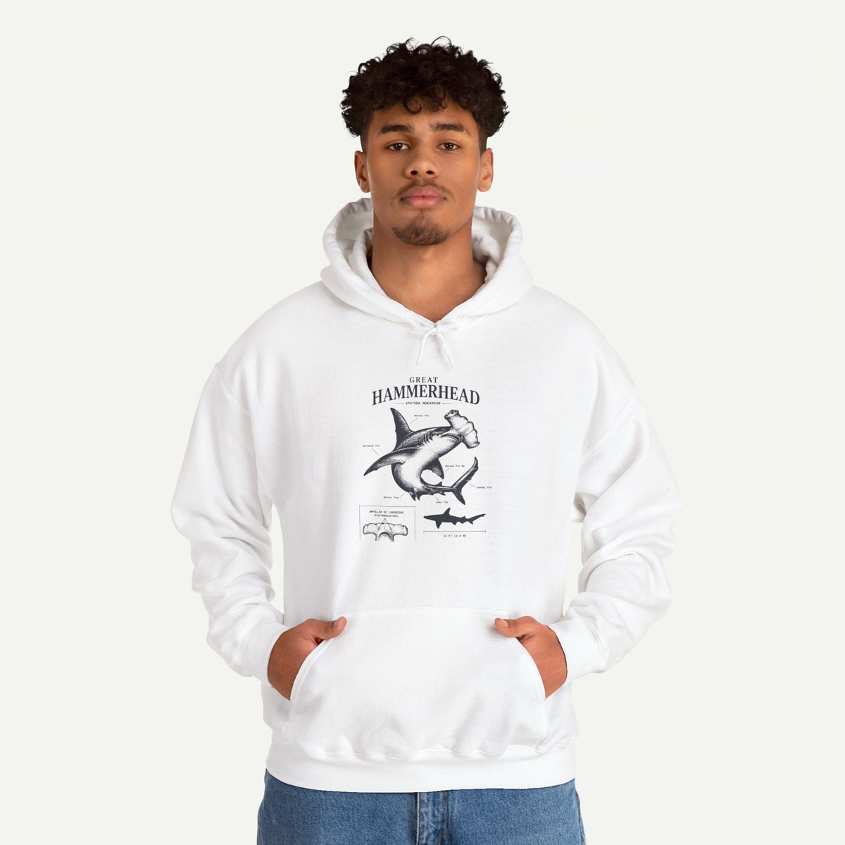 Hammerhead Shark Anatomy Hoodie – Marine Biology Graphic