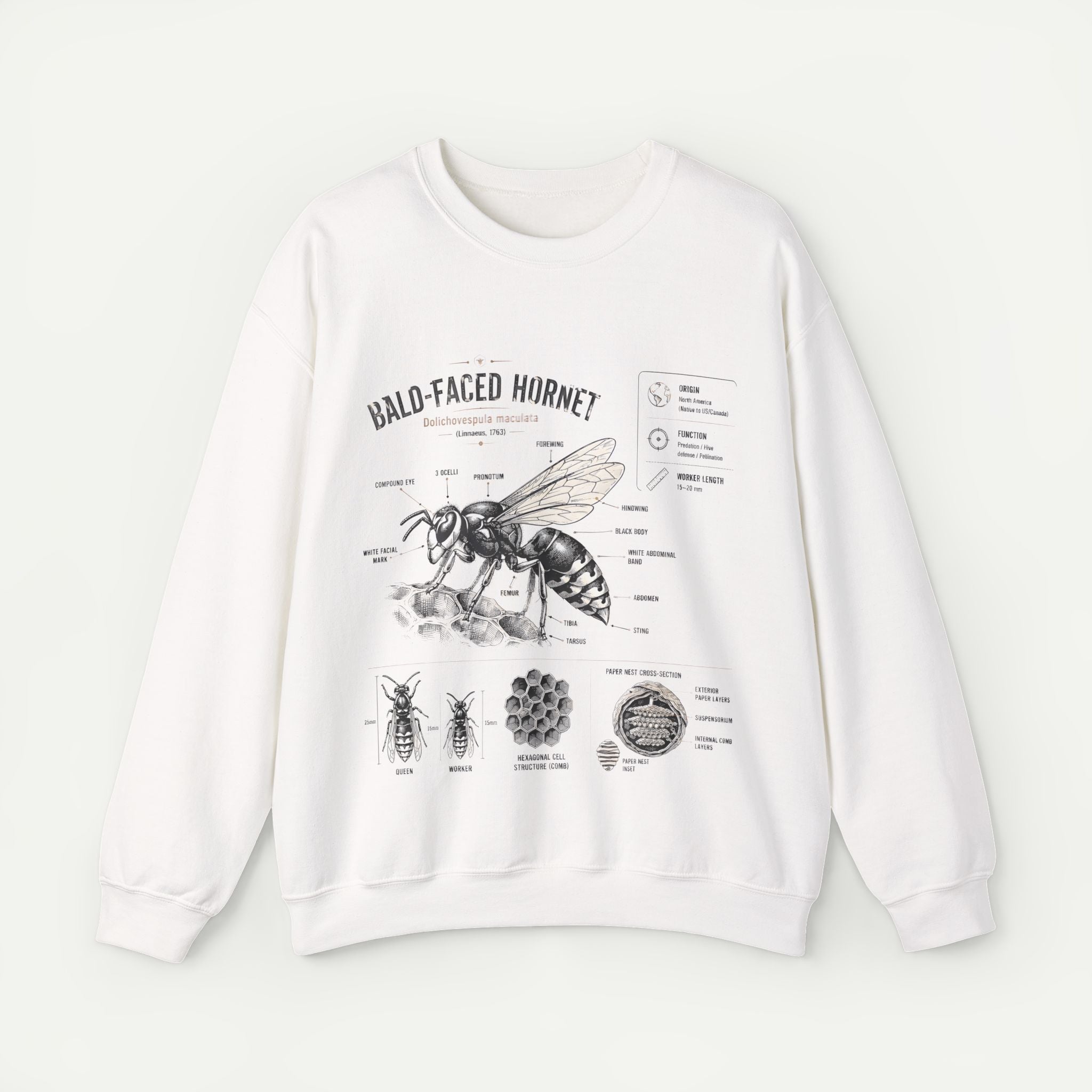 Hornet Anatomy Sweatshirt — Bald-Faced Hornet Diagram Crewneck Secondary image