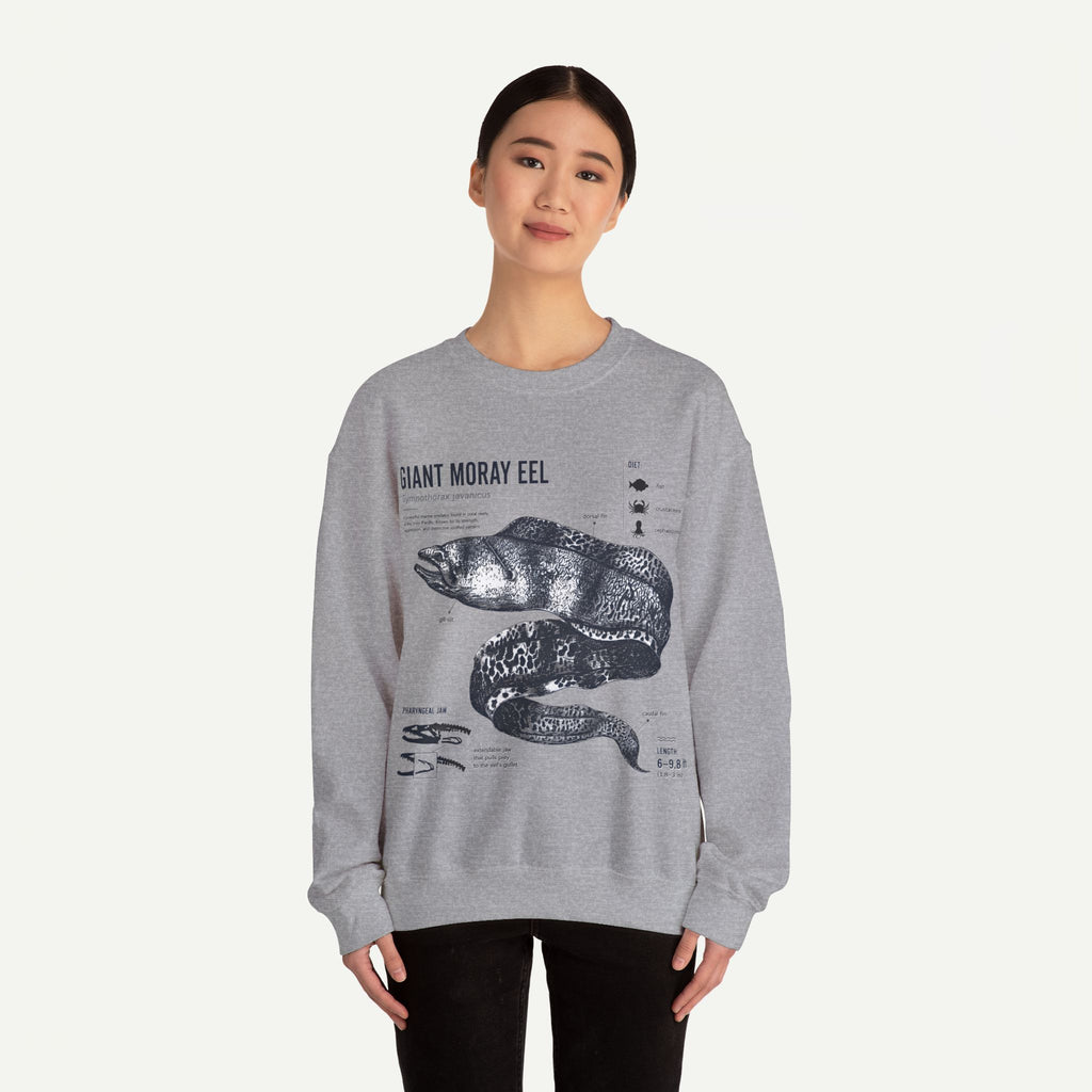 Giant Moray Eel Anatomy Sweatshirt