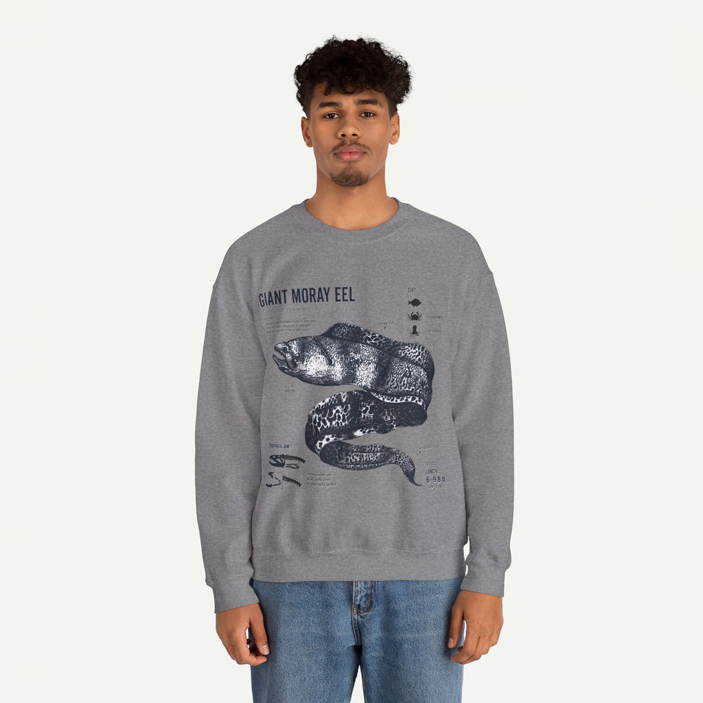 Giant Moray Eel Anatomy Sweatshirt