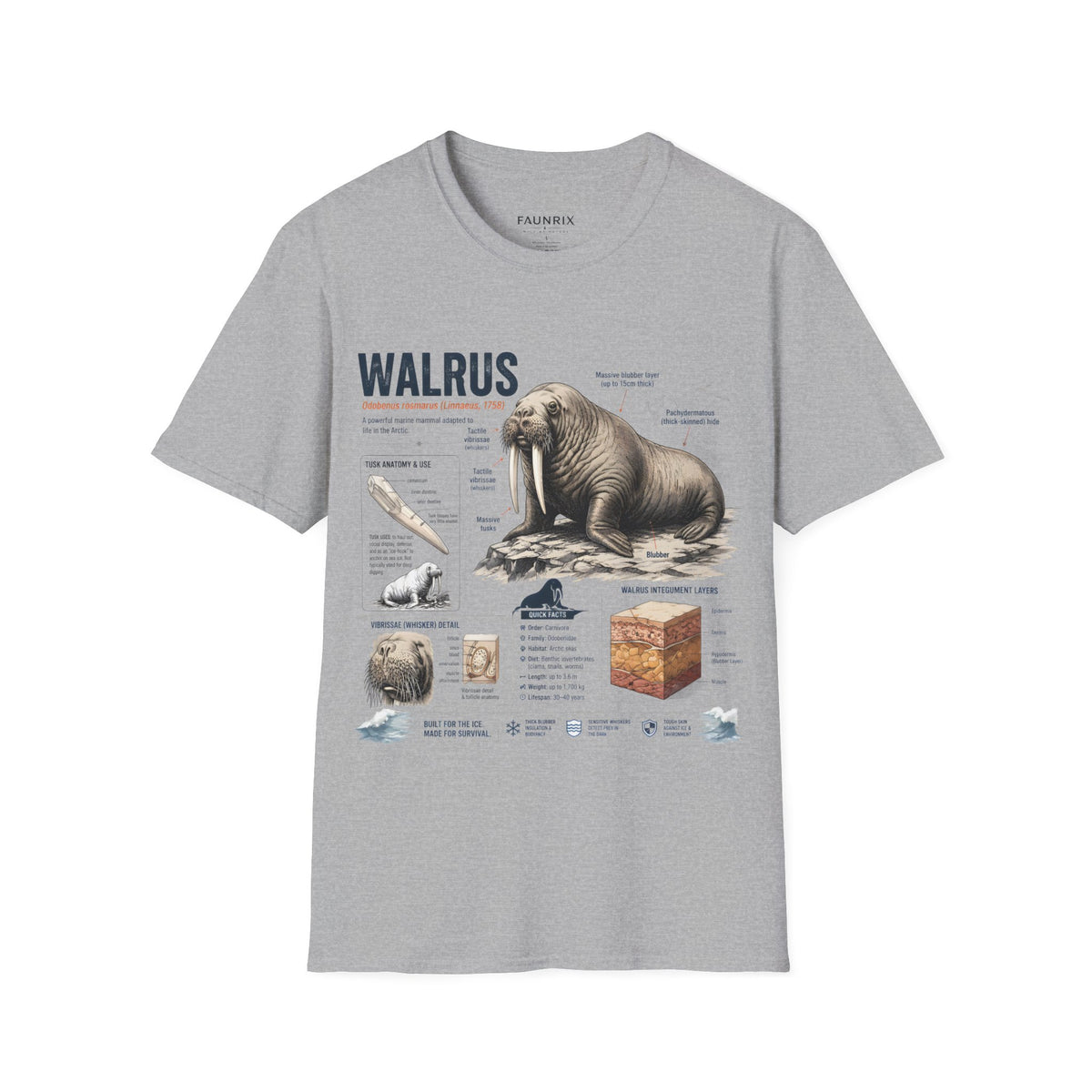 Walrus Anatomy T-Shirt — Illustrated Marine Mammal Facts Tee