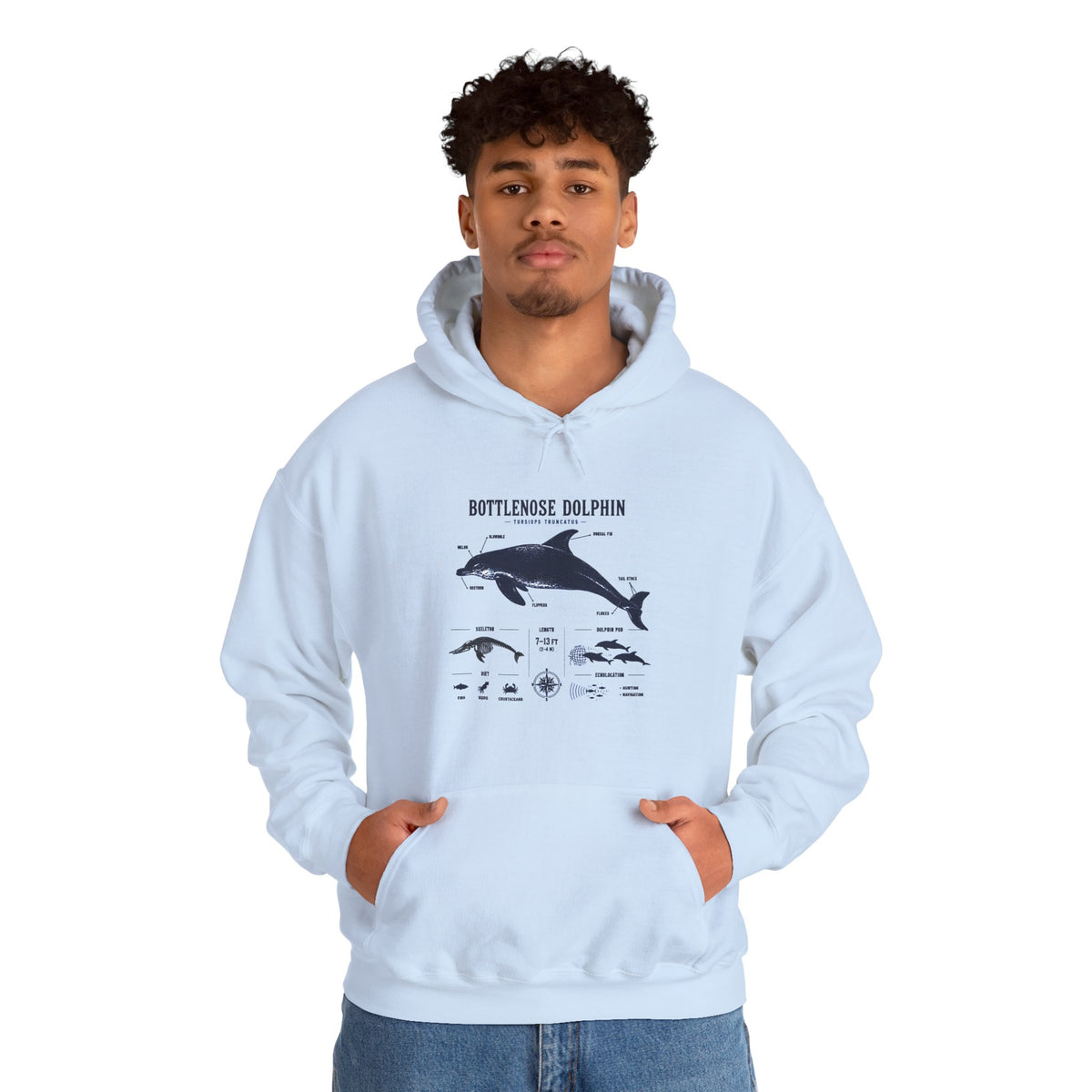 Bottlenose Dolphin Diagram Hoodie – Marine Life Anatomy Sweatshirt