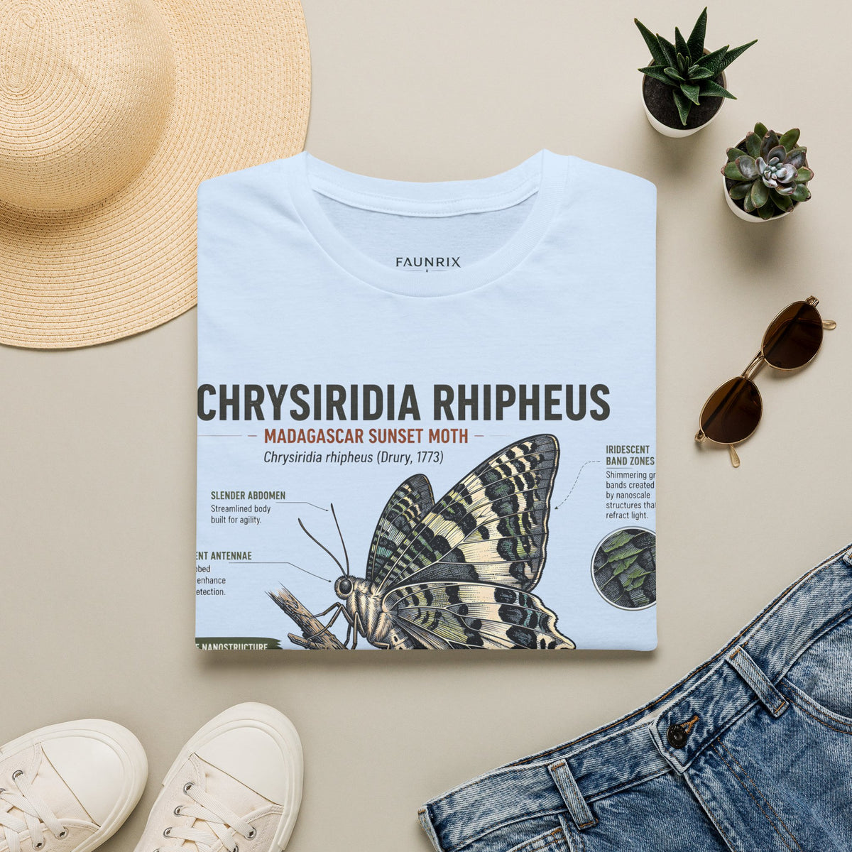 Moth Anatomy Tee — Chrysiridia Rhipheus Madagascar Sunset Moth Scientific Print