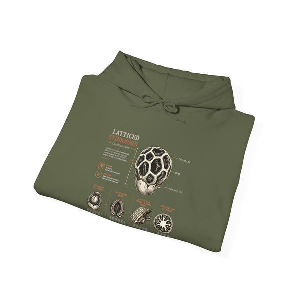 Hoodie — Mushroom Anatomy Chart Graphic Hoodie