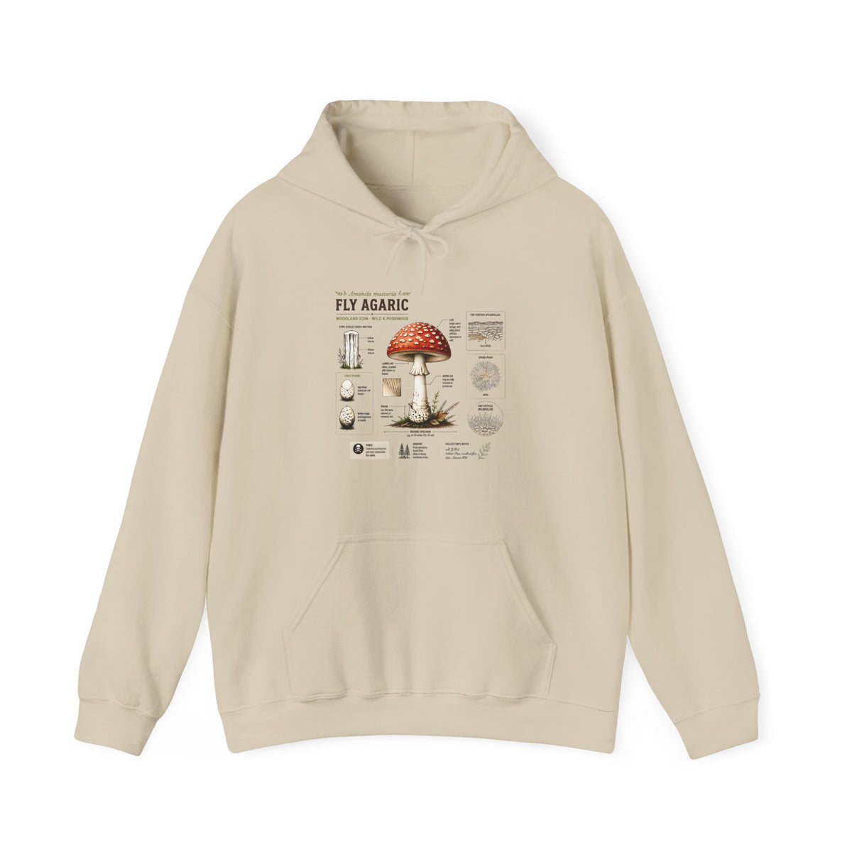 Fly Agaric Mushroom Hoodie – Vintage Mycology Diagram Sweatshirt