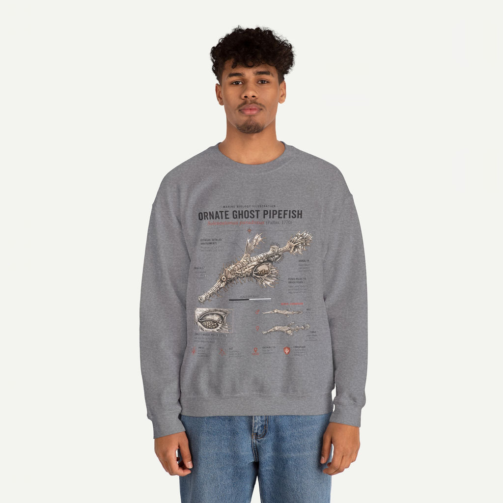 Ornate Ghost Pipefish Anatomy Sweatshirt