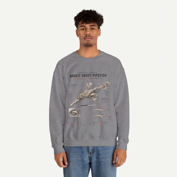 Ornate Ghost Pipefish Anatomy Sweatshirt