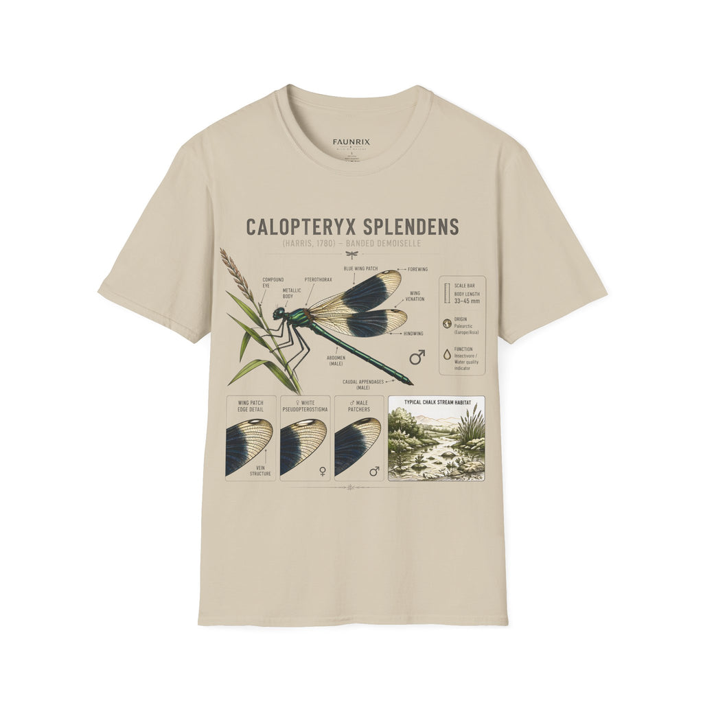 Calopteryx Splendens Anatomy T-Shirt