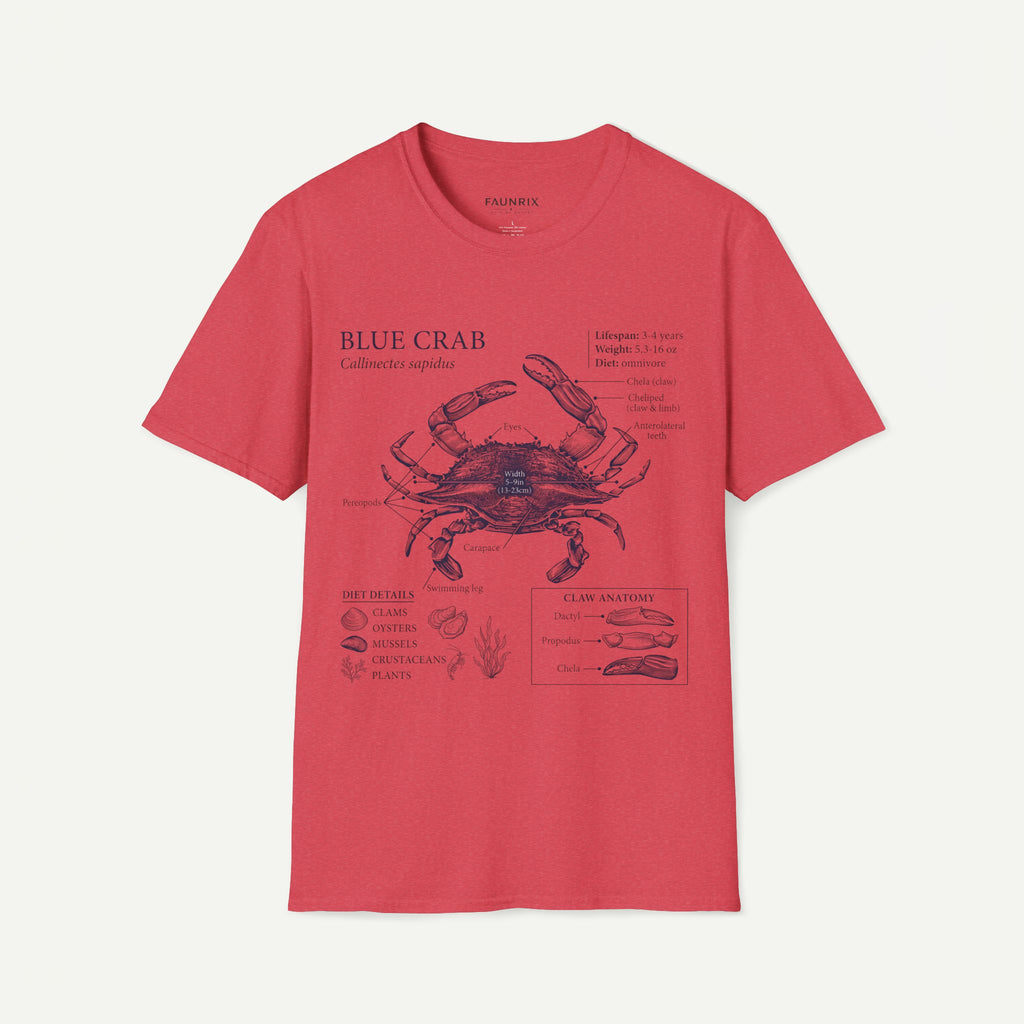 Crab Anatomy T-Shirt — Vintage Blue Crab Illustration Tee