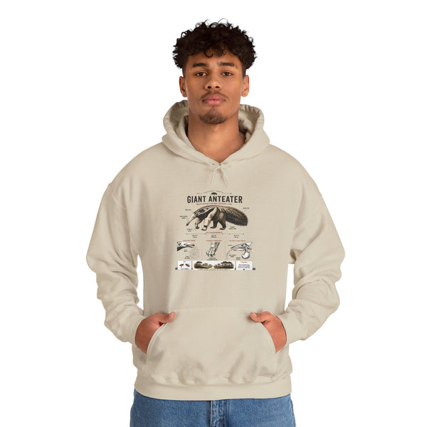 Giant Anteater Anatomy Hoodie — Illustrated Wildlife Diagram Sweatshirt