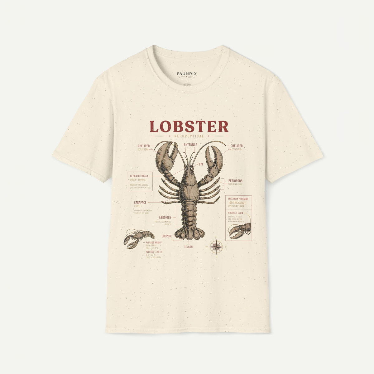 Lobster Anatomy T-Shirt — Vintage Nautical Seafood Diagram Tee