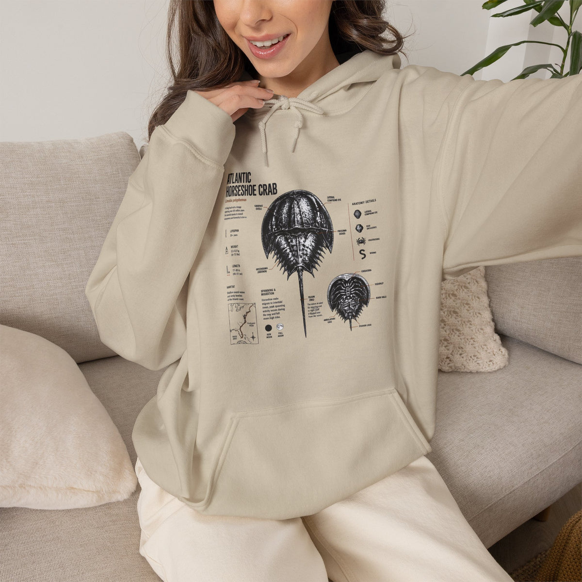 Horseshoe Crab Anatomy Hoodies