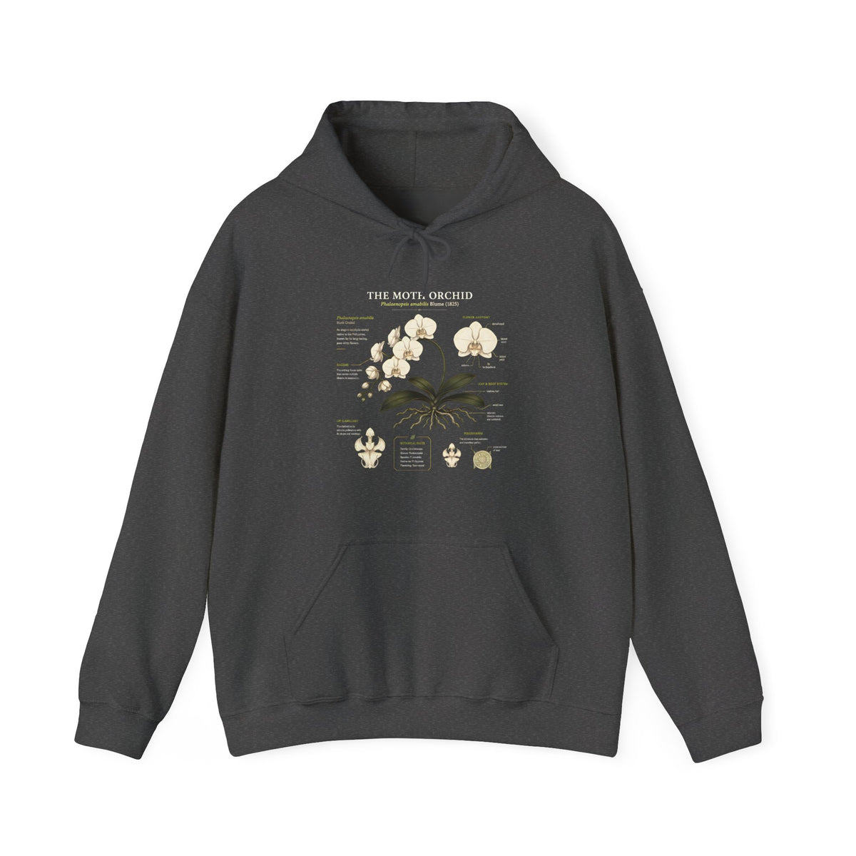 Botanical Orchid Anatomy Hoodie — Vintage Plant Illustration Sweatshirt
