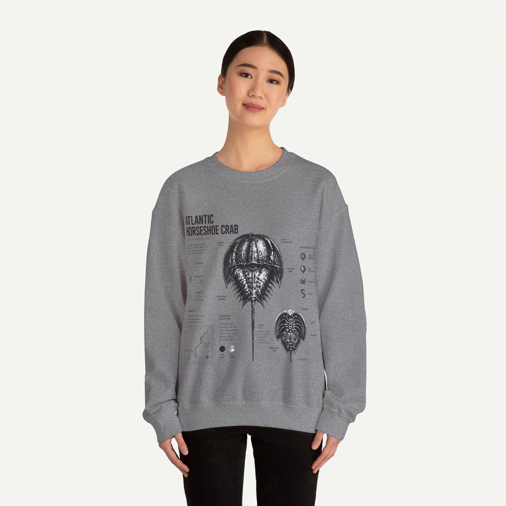 Horseshoe Crab Anatomy Sweatshirt — Atlantic Horseshoe Crab Illustration Crewneck
