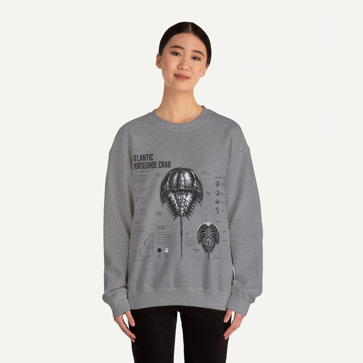 Horseshoe Crab Anatomy Sweatshirt — Atlantic Horseshoe Crab Illustration Crewneck