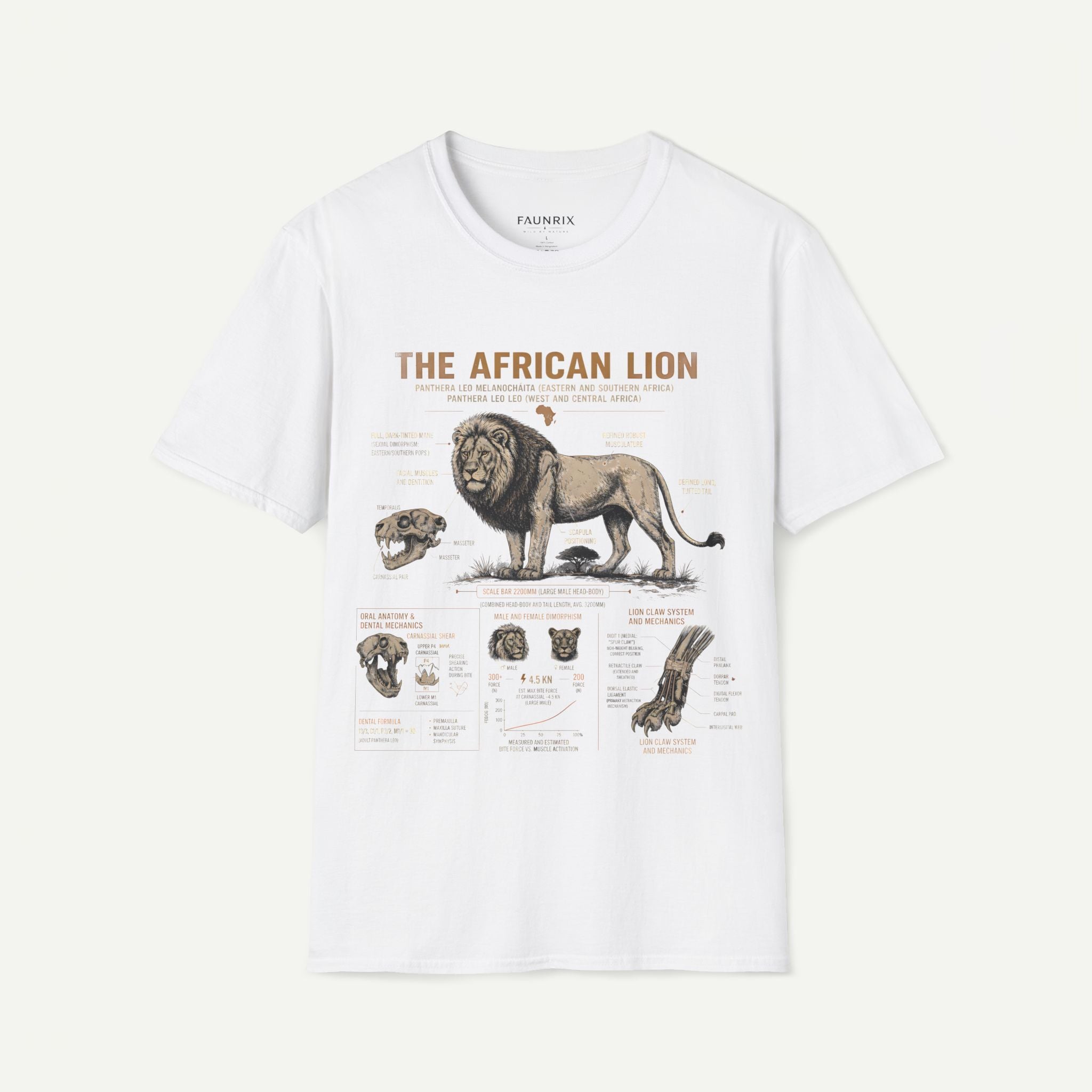 African Lion Anatomy T-Shirt — Vintage Wildlife Illustration Tee Secondary image