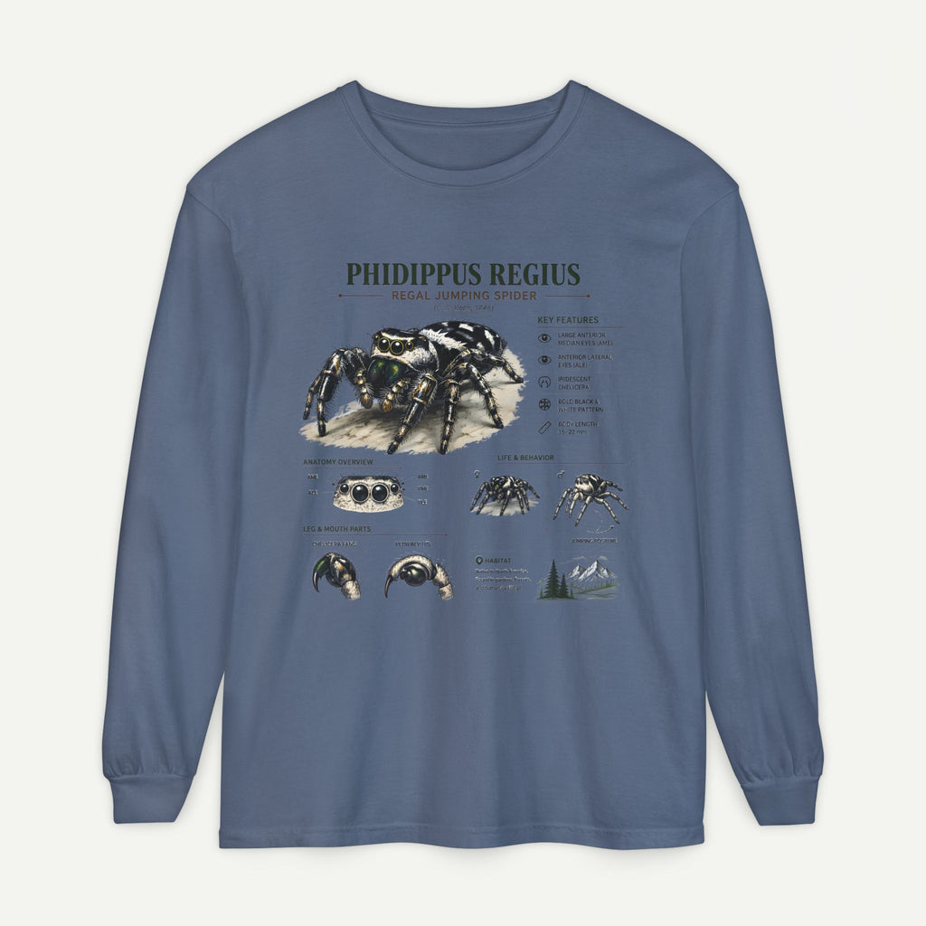 Phidippus Regius Jumping Spider Illustration Long Sleeve Tee
