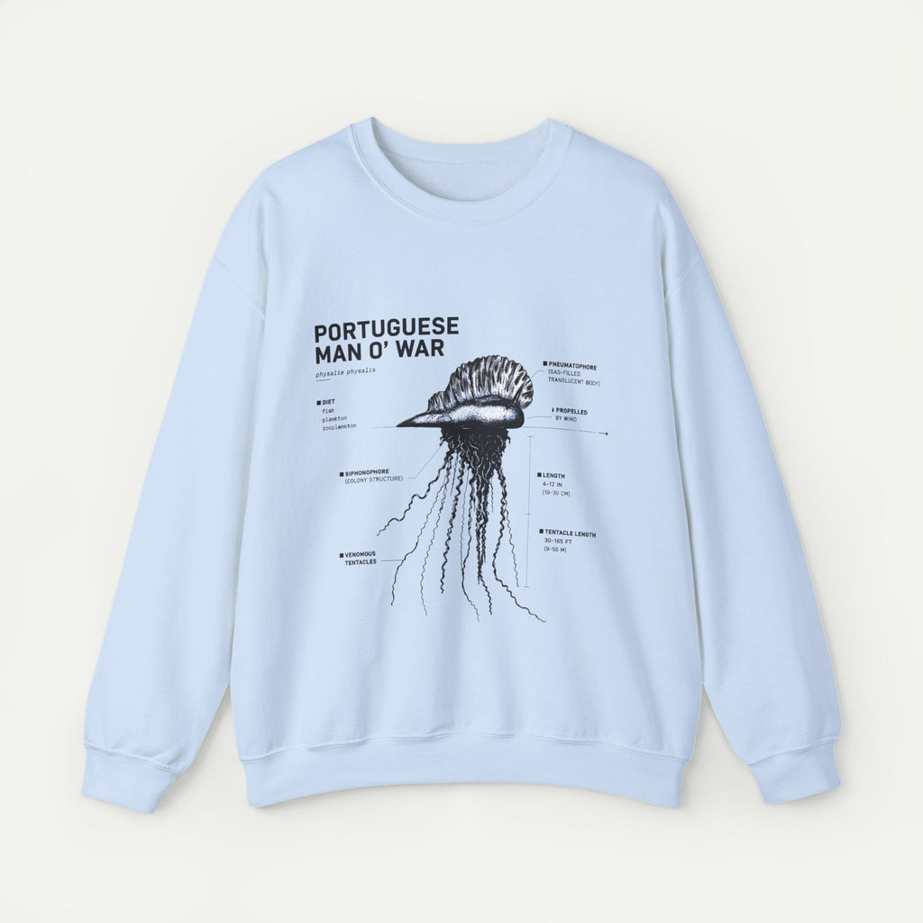 Portuguese Man O' War Anatomy Sweatshirt