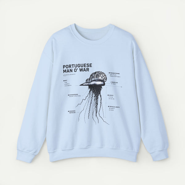 Portuguese Man O' War Anatomy Sweatshirt