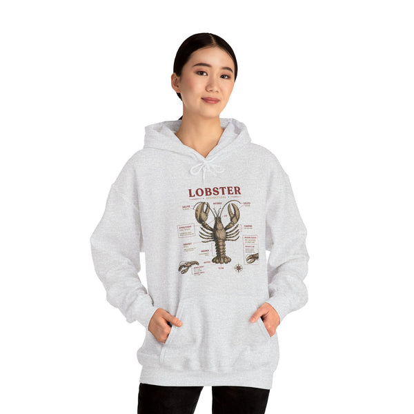 Lobster Anatomy Hoodie – Nautical Seafood Illustration Pullover